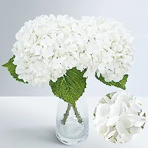 Waipfaru 21" Real Touch White Hydrangea Artificial Flowers with Long Stem & Leaves, Full Latex Fa... | Amazon (US)