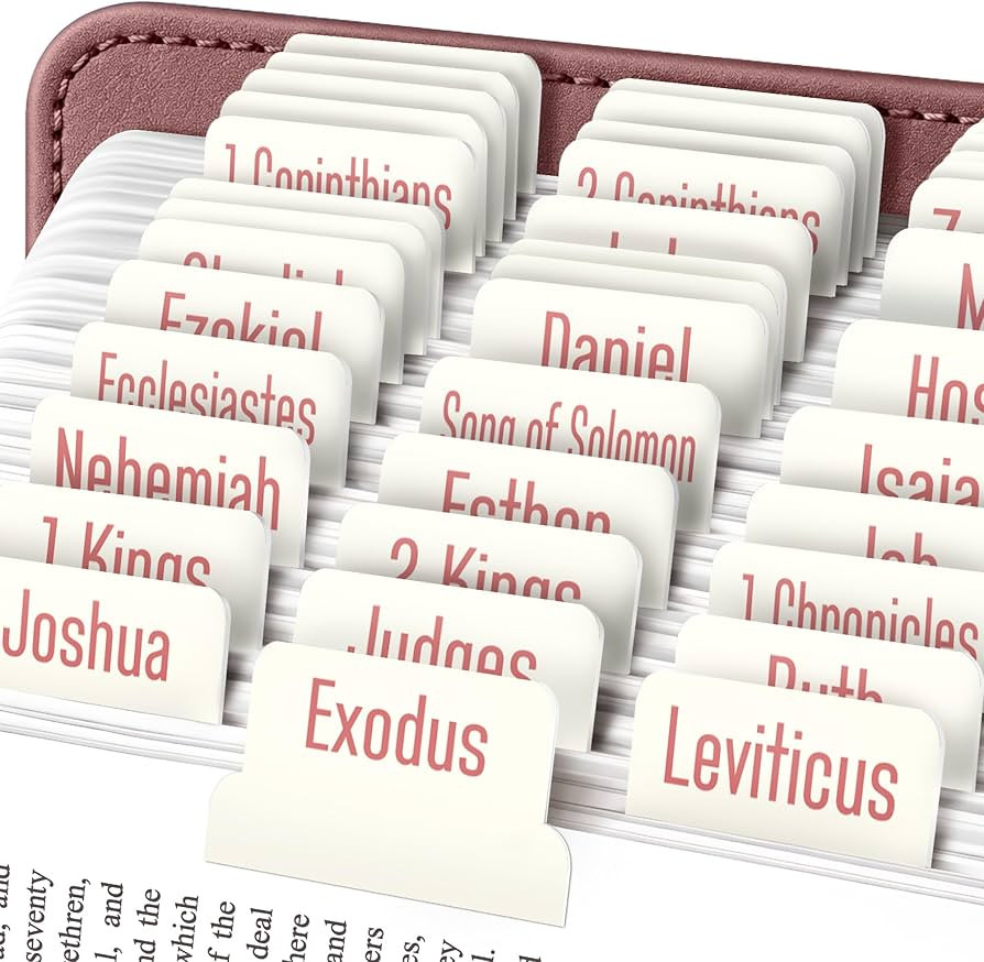 EssexWares – Ivory Solid Color Bible Tabs for Old and New Testament, 80 Large Print Tabs for Bi... | Amazon (US)