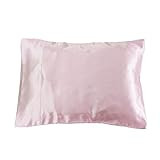 LilySilk 3101-39-30x40 100% Silk Pillowcase for Travel Pillows, 12 x 16, Rosy Pink | Amazon (US)
