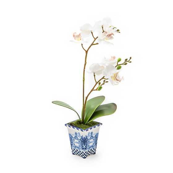 MacKenzie-Childs | Royal Toile Potted Orchid - Small | MacKenzie-Childs
