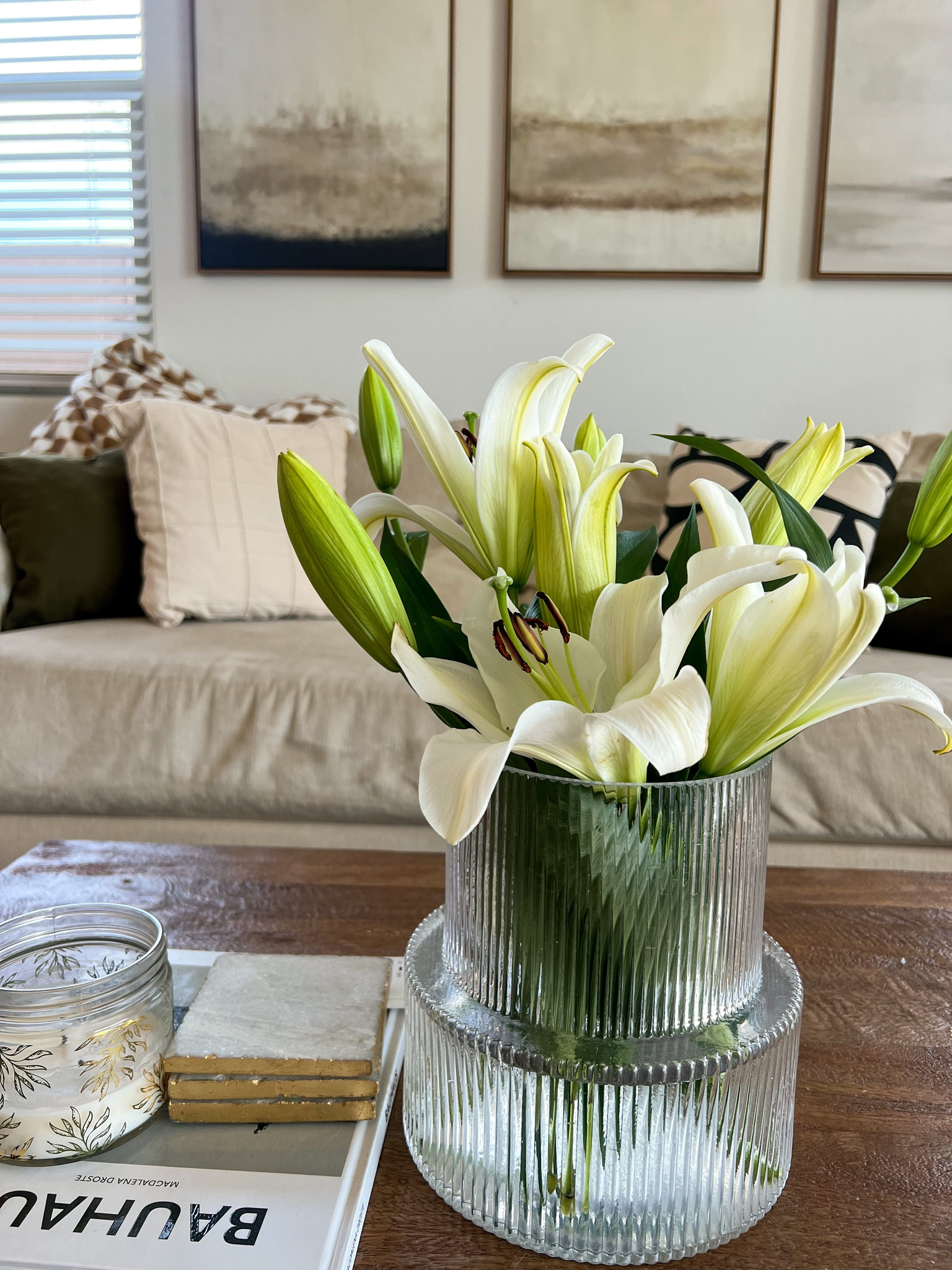 Spring ready🌿

I also have the comfiest couch from American Furniture Warehouse (can’t be tagged) - It’s called the Lamar Cream Sofa & the Chair with it!

#LTKunder50 #LTKhome #LTKstyletip