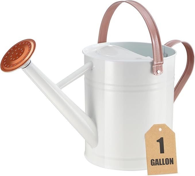 Watering Can for Outdoor Plants&Indoor Plants,Plant Watering Pot 1 Gallon with Removable Spout,Me... | Amazon (US)