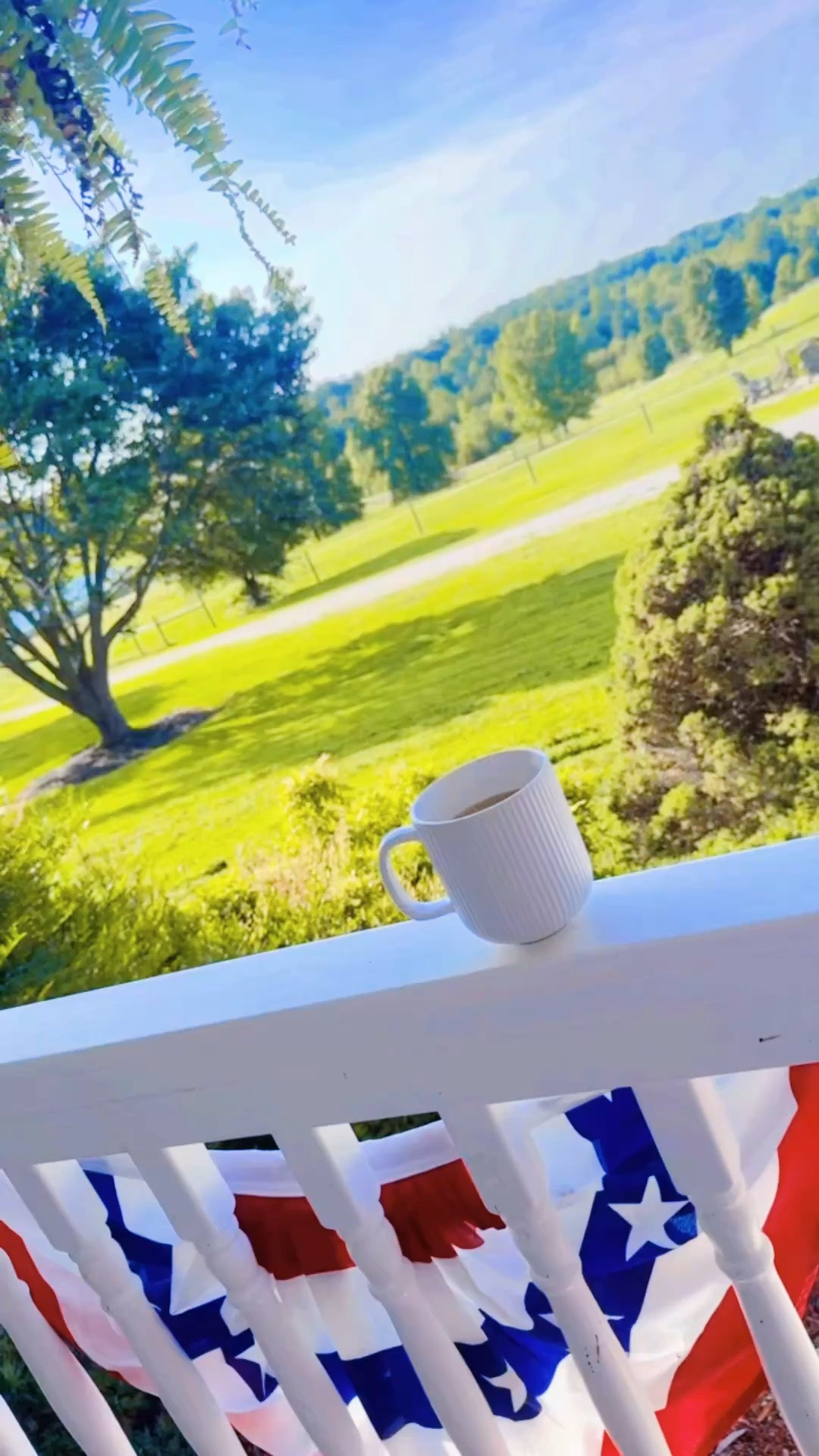 Will never get over how  d r e a m y   ✨  my morning coffee ☕️ views are here 🤍🐴🦌 #farmdreamcometrue