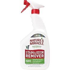 Stain and Odor Remover | Amazon (US)