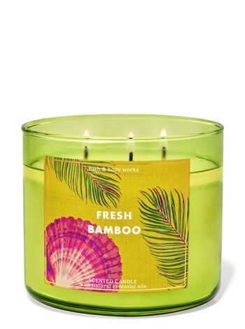 Fresh Bamboo


3-Wick Candle | Bath & Body Works