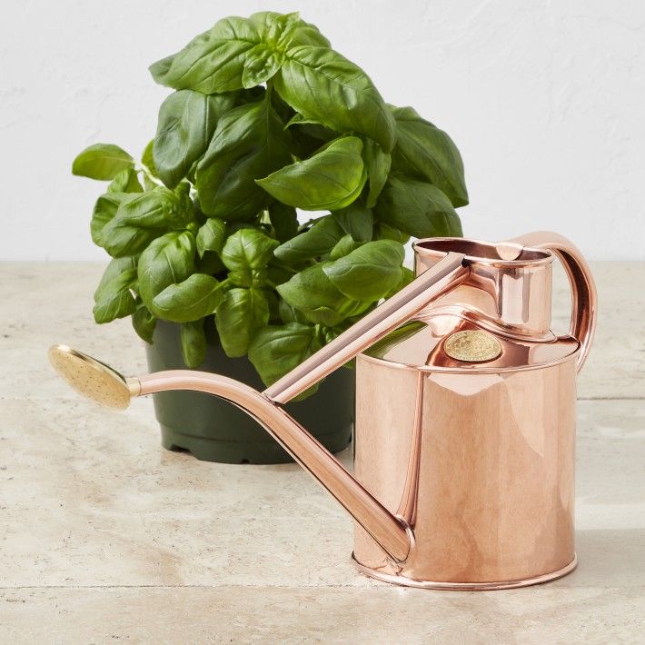 Haws Indoor Watering Can | Williams-Sonoma