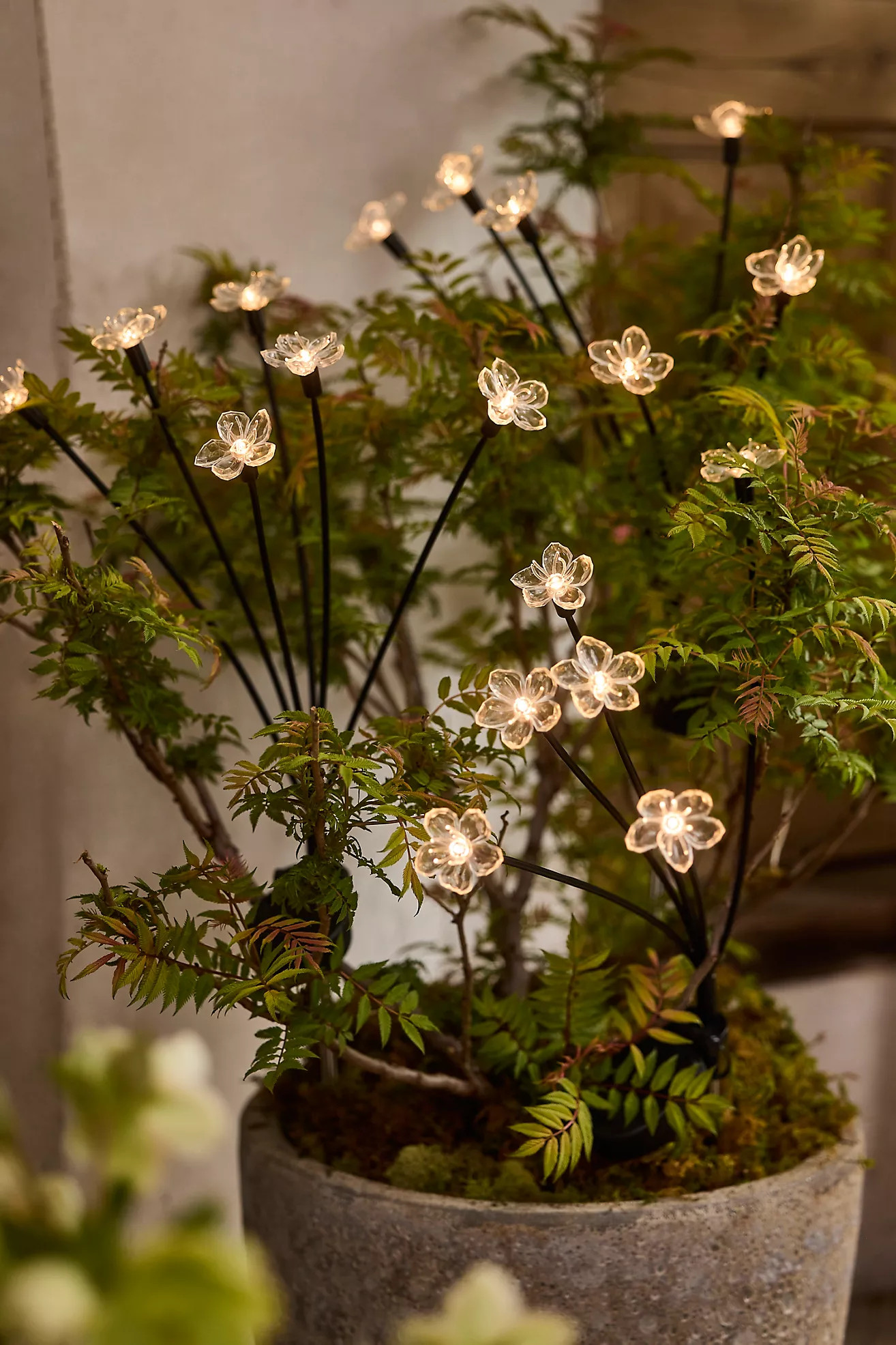 Solar Garden Light Stake, Flowers | Anthropologie (US)
