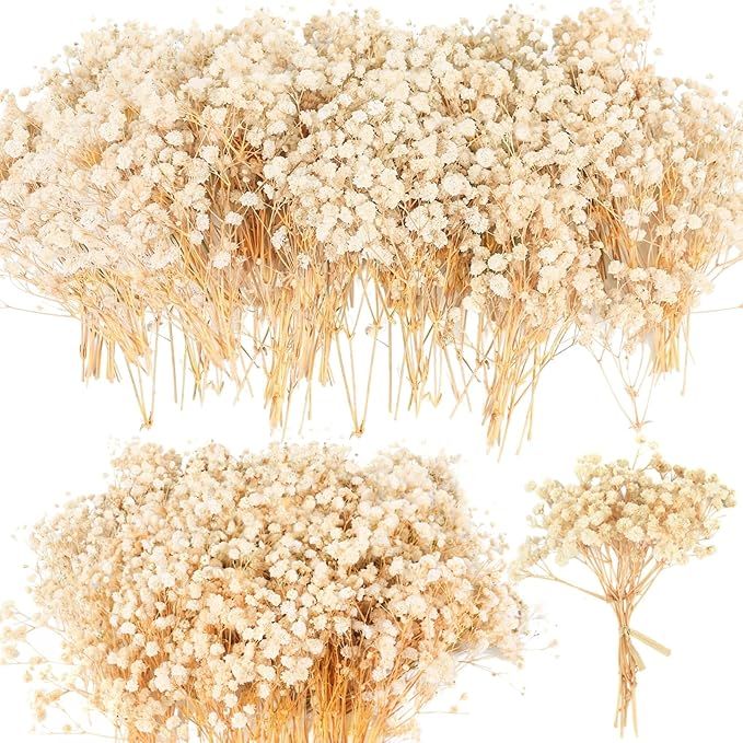 80Pcs Mini Dried Babys Breath Flowers, 4600+ Ivory White Baby Breath Flowers Bulk, Dried Flower f... | Amazon (US)