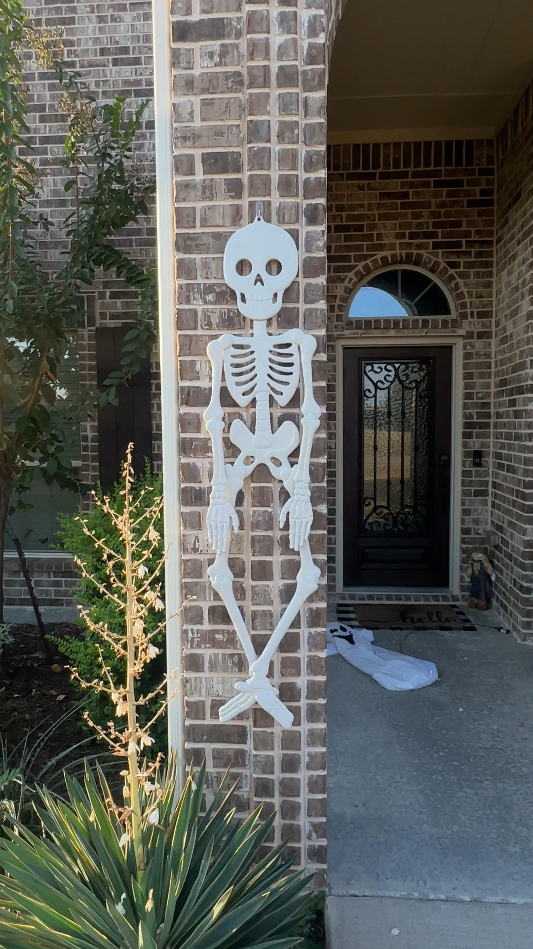 I got these for $5 but would 100% pay $10 each which is full price. Such a cute and fun addition to your Halloween decor. 

#halloween #spooky #falldecor

#LTKHome #LTKHalloween #LTKSeasonal