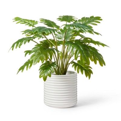 22" x 14" Faux Philodendron Selloum Plant in Ribbed Ceramic Pot White - Hilton Carter for Target | Target
