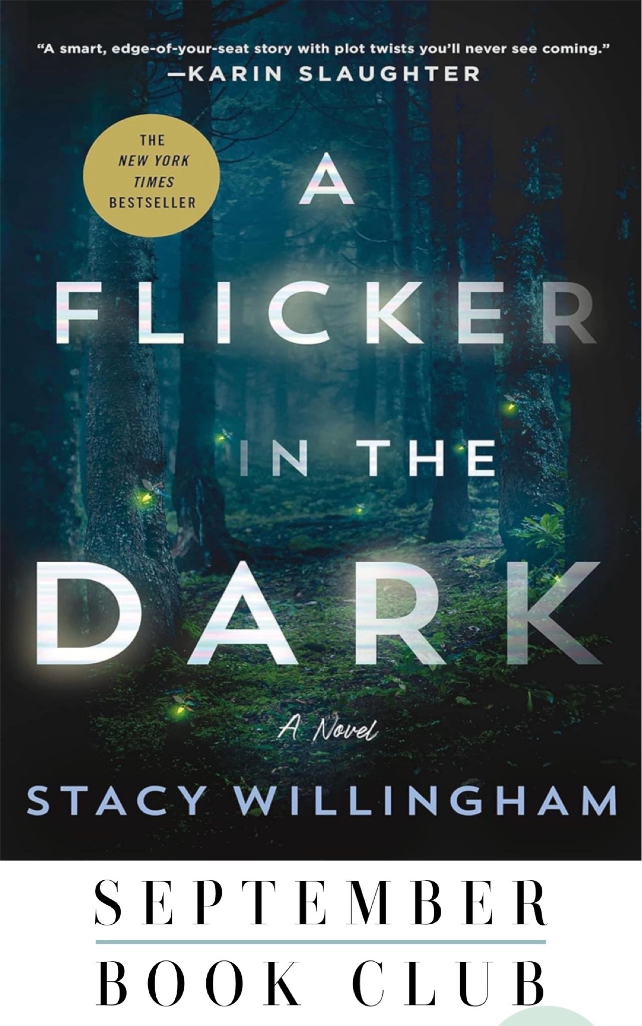 September book club: A Flicker In The Dark by Stacy Willingham


#LTKHome #LTKFallSale #LTKSeasonal