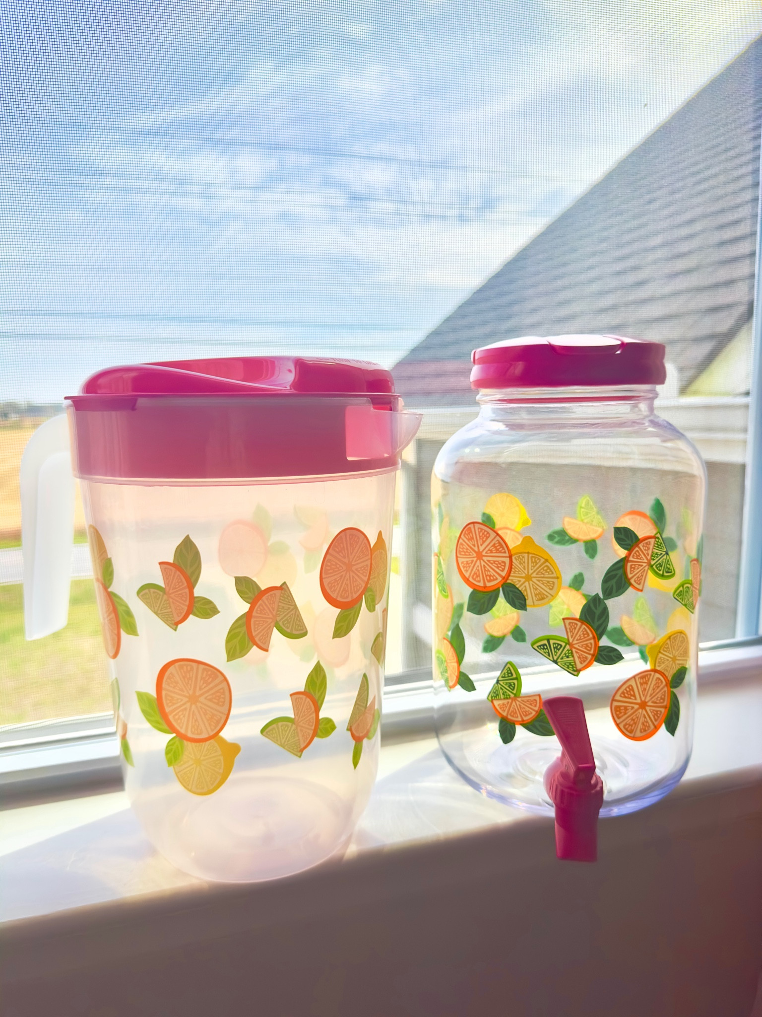 Summer drink containers! Perfect for a mimosa bar🤩🥂🍊🍋

#LTKparties #LTKwedding #LTKfindsunder50