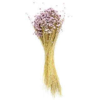 Lavender Campo Flowers Decorative Naturals by Ashland®Item # 10733566(4)4.5 Out Of 54 Ratings5 ... | Michaels Stores