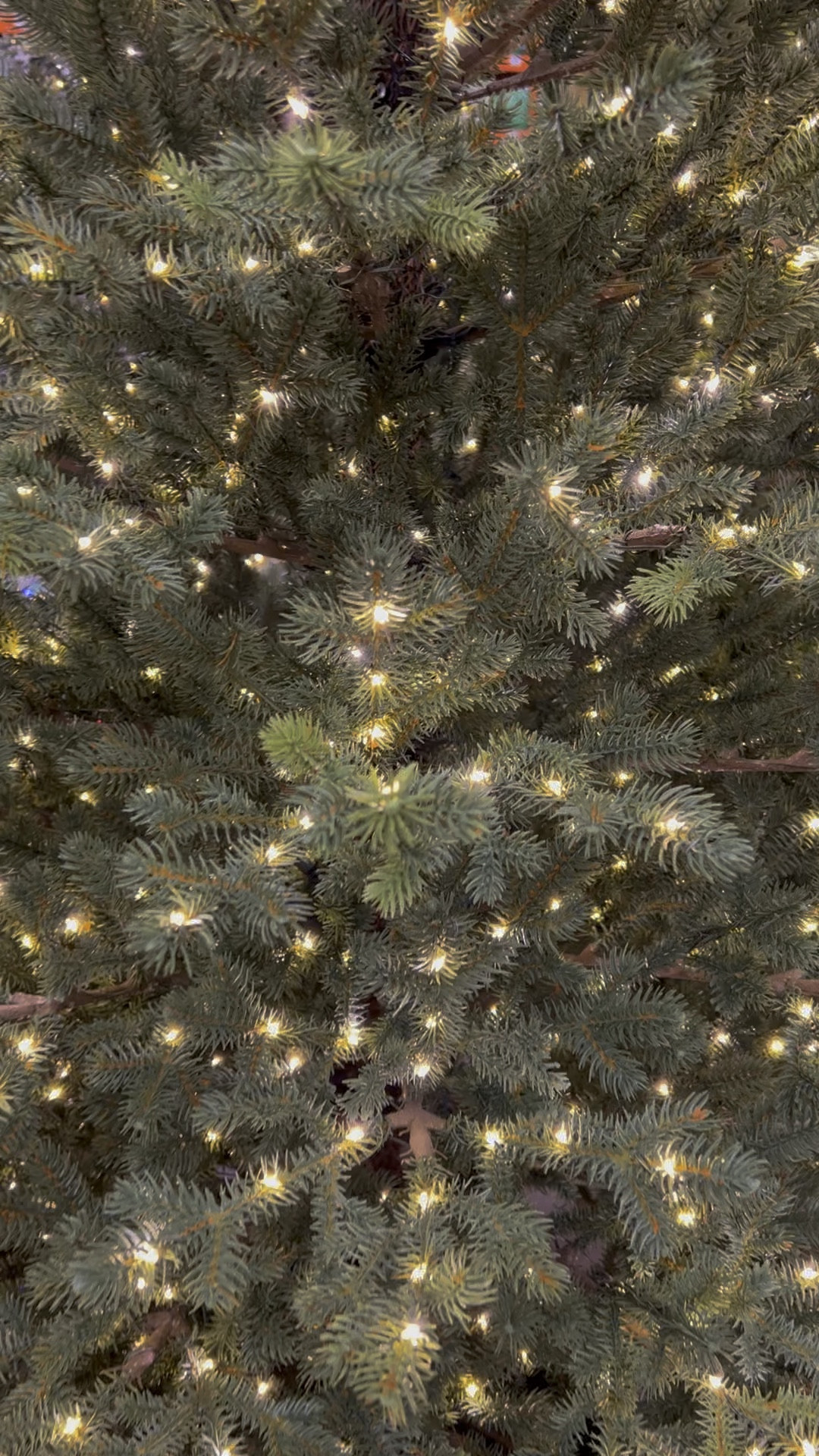 My Christmas tree is back in stock. Run. It will sell out. It is gorgeous. It has microdot lights. I have the 9ft. It comes in 7.5 as well. It has remote and you can set a timer. 

Christmas tree / prelit Christmas tree / affordable Christmas tree / home decorators / warm white LED light Christmas tree / viral Christmas tree / high sell out risk



#LTKHoliday #LTKhome #LTKstyletip