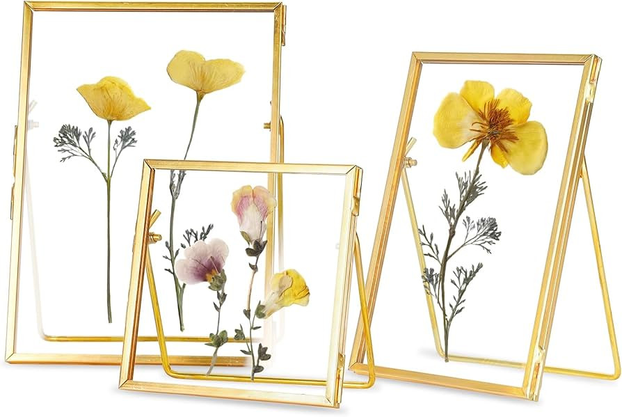 REDHUGO 3 PCS Glass Pressed Flower Frames, Floating Picture Frames, Table Top Metal Photo Frame, ... | Amazon (US)
