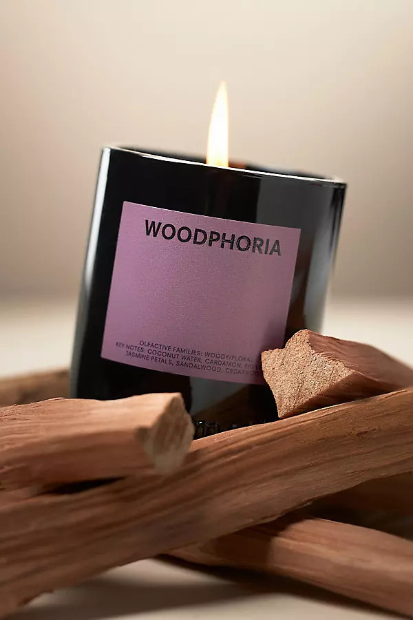 Woodphoria Boxed Glass Candle | Anthropologie (US)