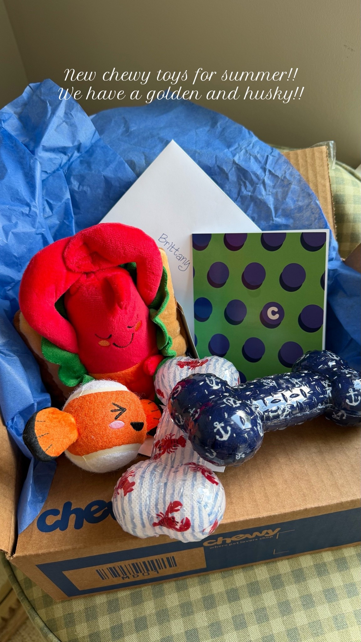 Loving these @Chewy finds!! Moose and Ace love their monthly shipments and auto ship makes it so easy for me for supplements and food! #pet 

Dog food treats toys family lifestyle

#LTKActive #LTKmorningroutine #LTKdayinmylife