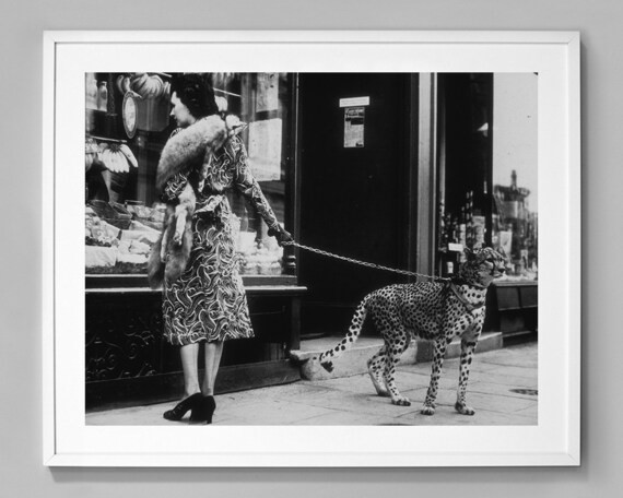 Leopard on a Leash Print, Leopard Print, Vintage Animal Photo, Vintage Style, Black and White Pho... | Etsy (US)