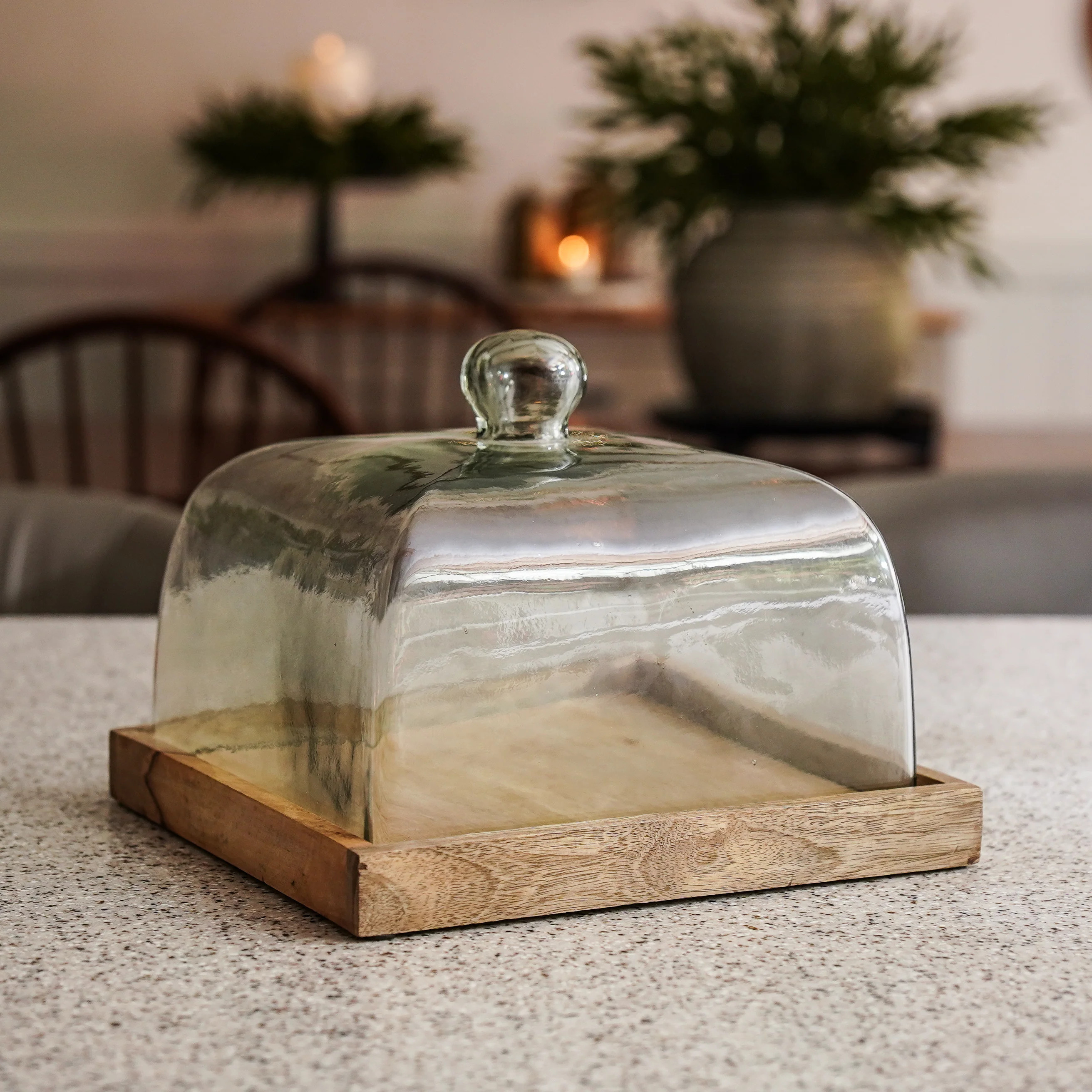 Square Wood and Glass Cake Cover | MJHome