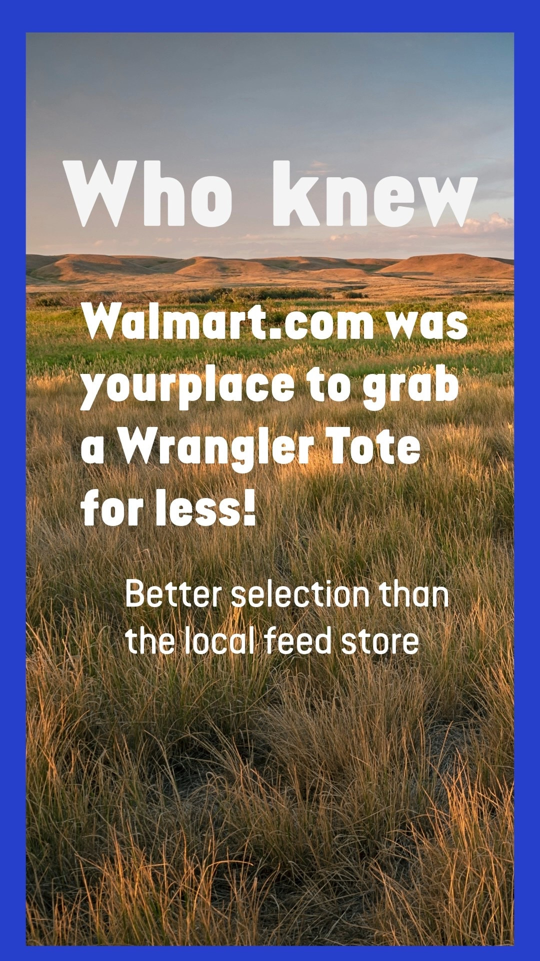 Wrangler from Walmart ❤️. The selection of western inspired to non-western styles is amazing. There is a bag for everyone’s style. 🤩

#LTKFindsUnder100 #LTKItBag #LTKSeasonal