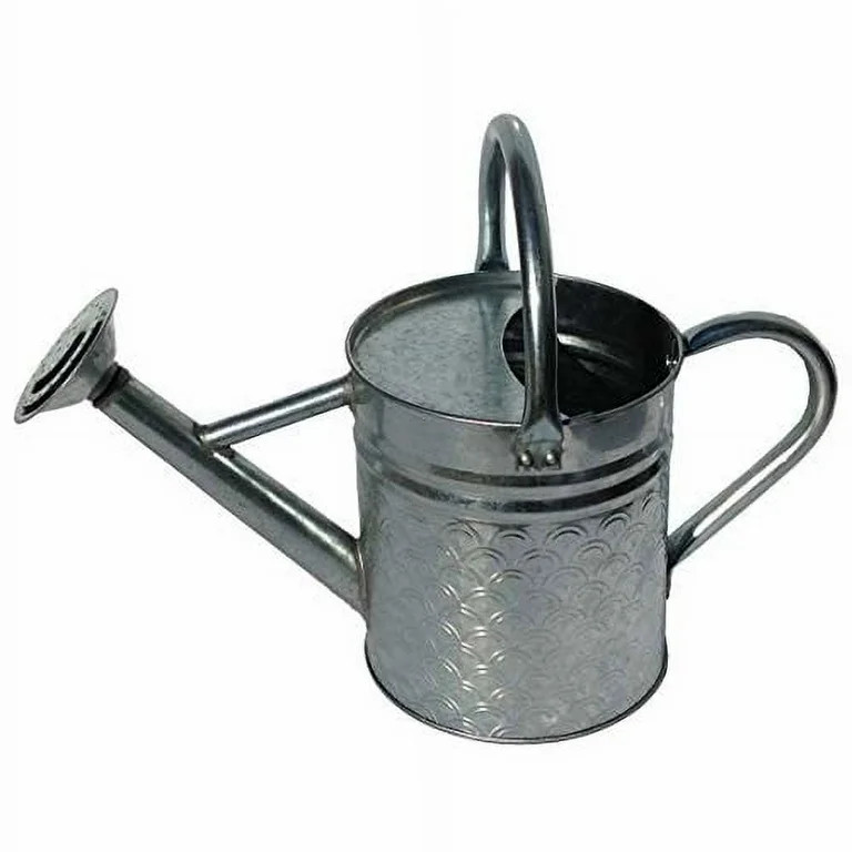Gardener Select Galvanized Watering Can, Silver, 64 oz | Walmart (US)