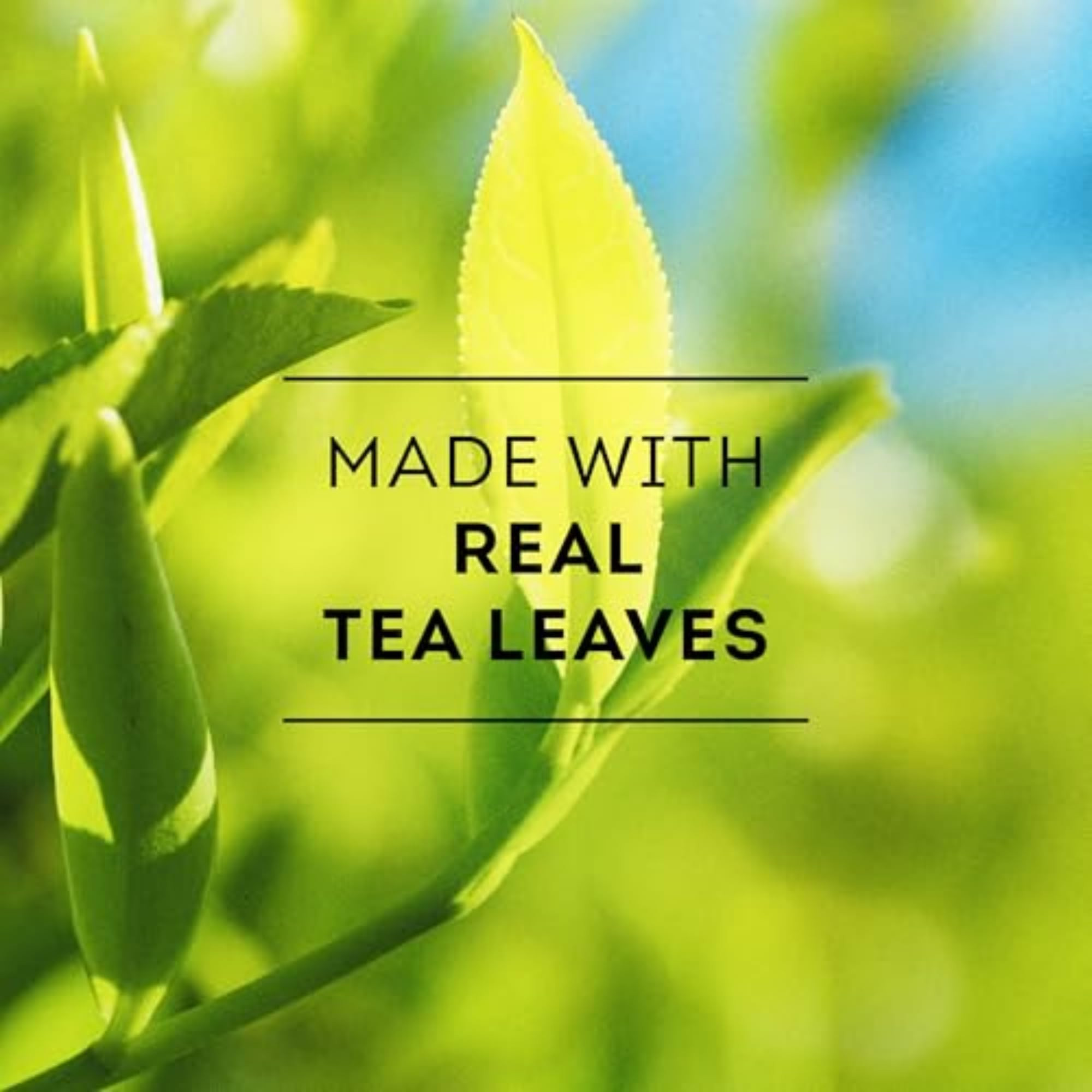 Lipton Unsweetened Iced Tea Bags, Gallon-Sized Zero Calories, 24 Total Tea Bags | Amazon (US)