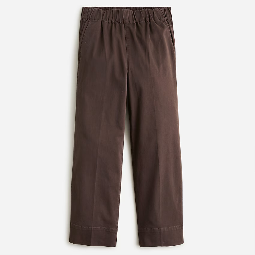 Astrid wide-leg chino pant | J. Crew US