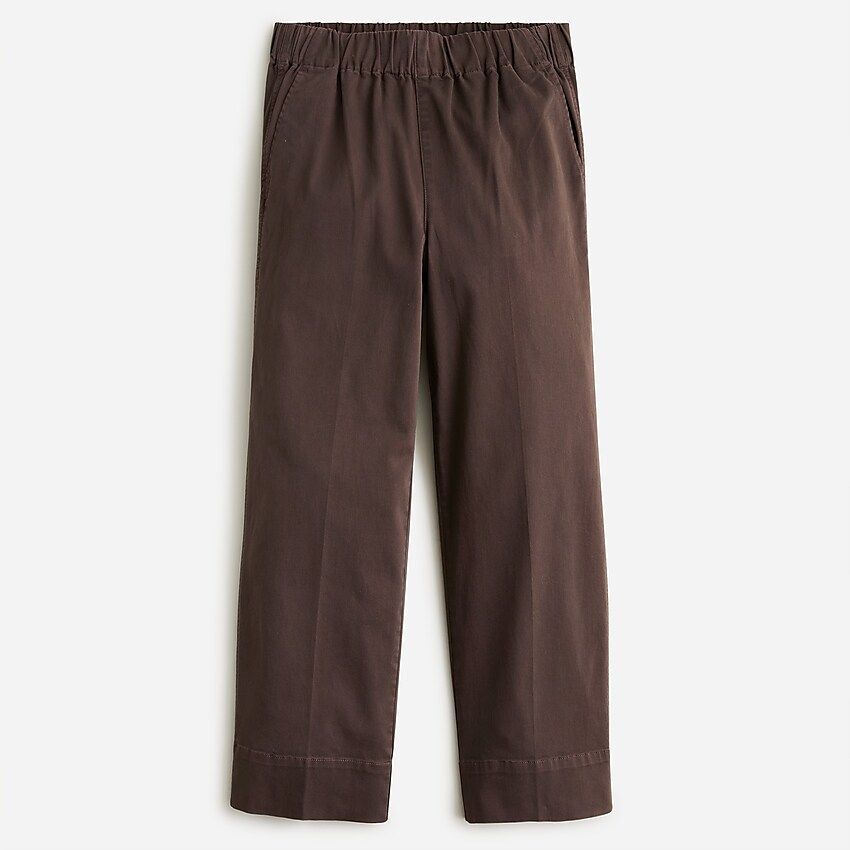 Astrid wide-leg chino pant | J.Crew US