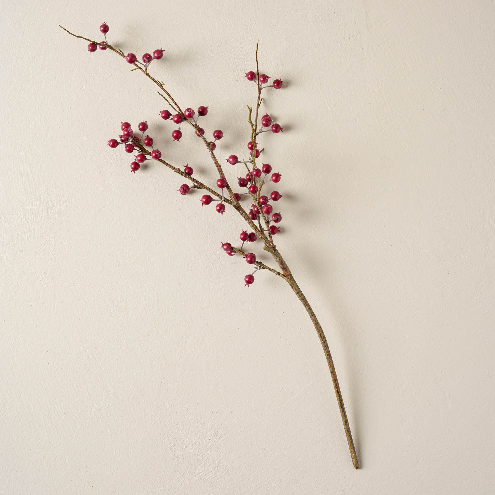 Red Berry Pick | Magnolia