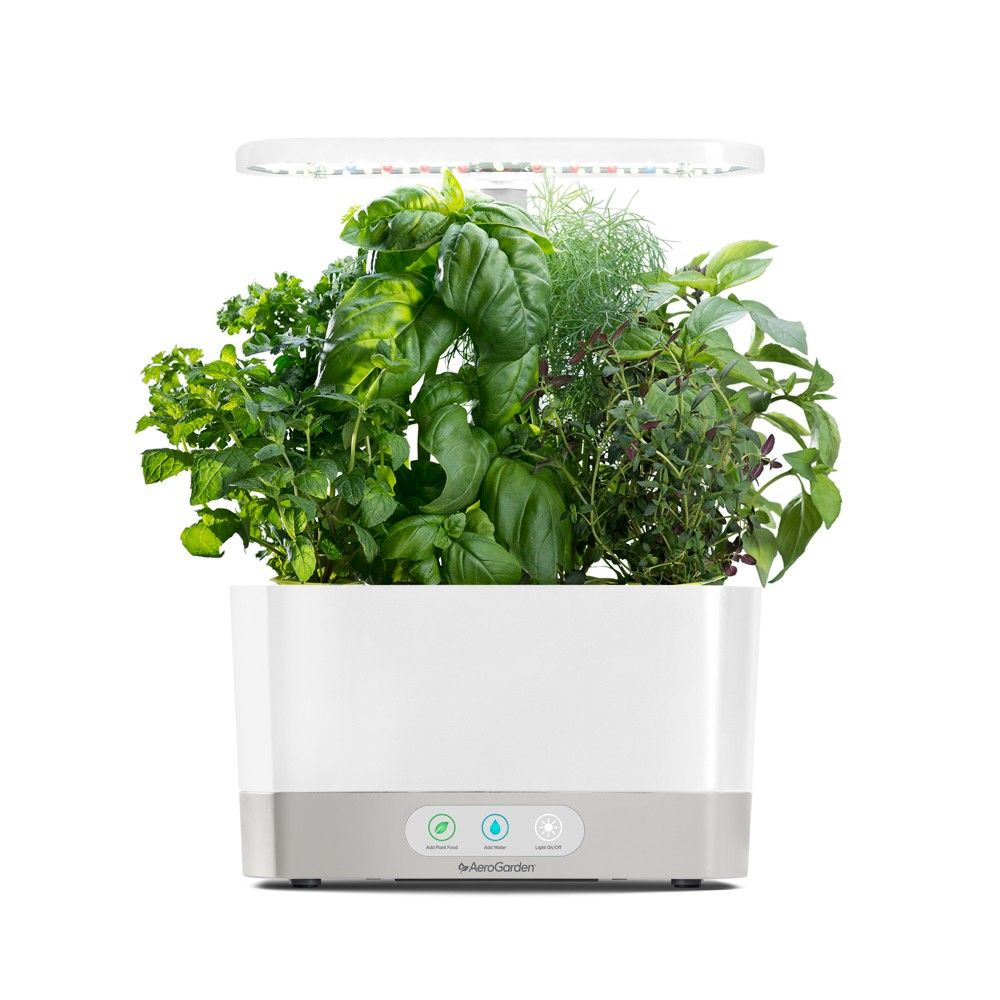 AeroGarden Harvest with Gourmet Herbs 6-Pod Seed Kit - White | Target