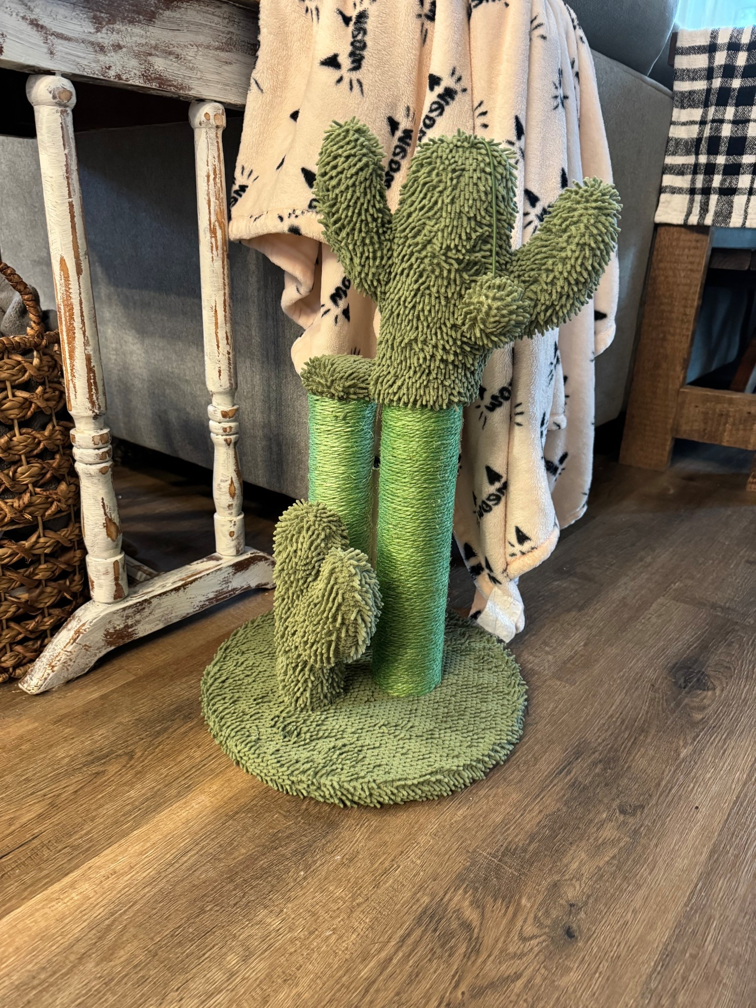 Walmart find

Vibrant Life Cactus Cat Scractching Post with Toy Ball, Green

#LTKStyleTip #LTKPets #LTKHome