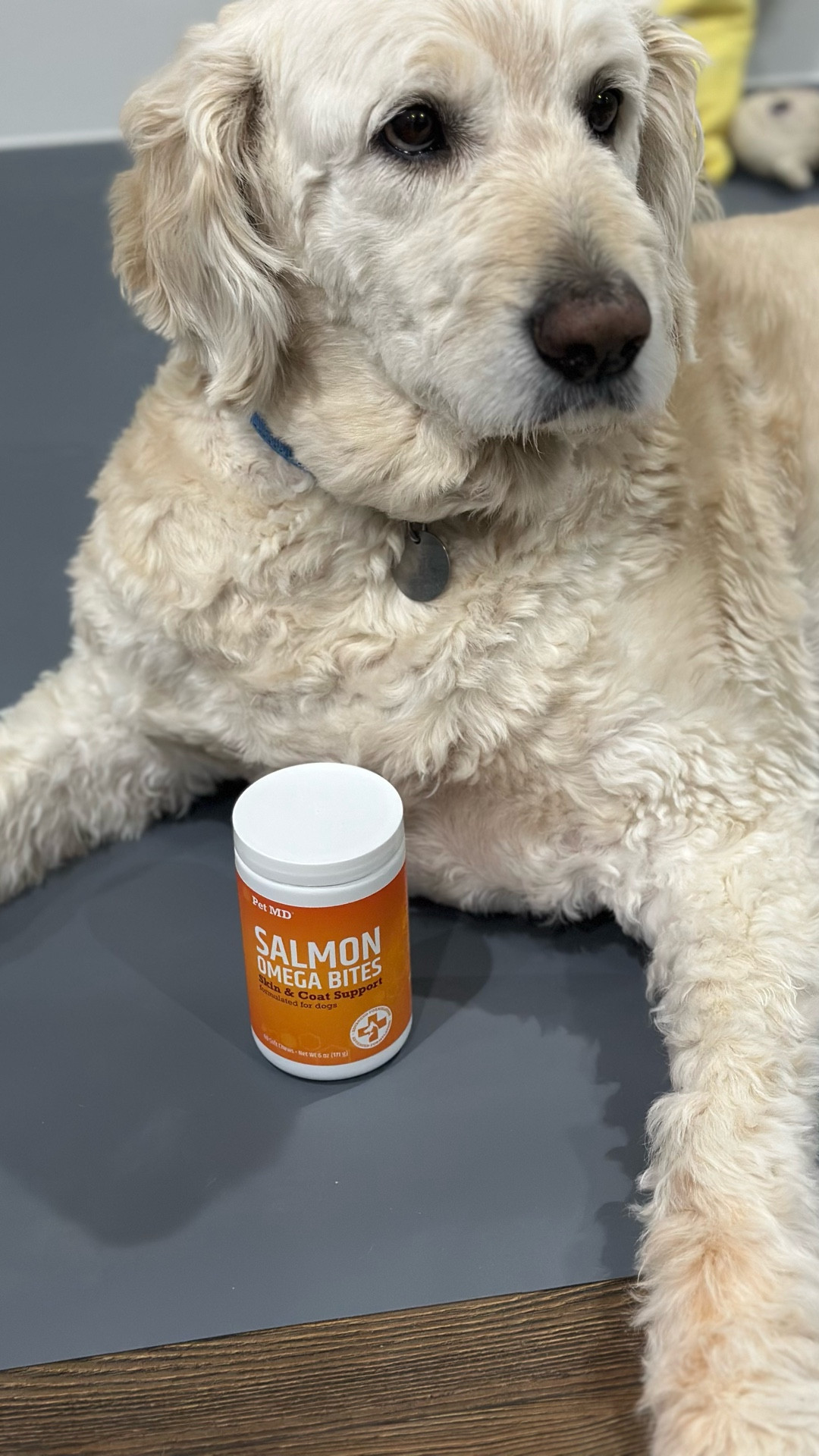 Salmon omega bites for dogs helps, relieve allergy, itchy relief packed with vitamins

#LTKPets #LTKU #LTKFindsUnder50