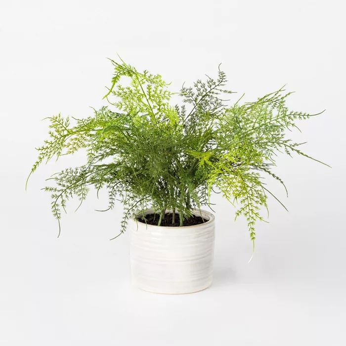 Artificial Fern Plant in Pot Green/White - Threshold™ designed with Studio McGee | Target