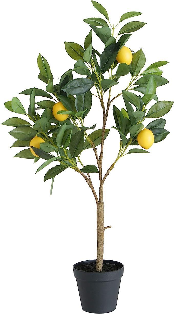 WHW Whole House Worlds Lemon Faux Tree, Brilliant Yellow Fruit, Green Leaves, Black Pot with Moss... | Amazon (US)