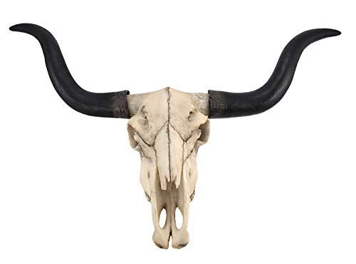 Long Horn Cow Skull Wall Hanging Longhorn Steer | Amazon (US)