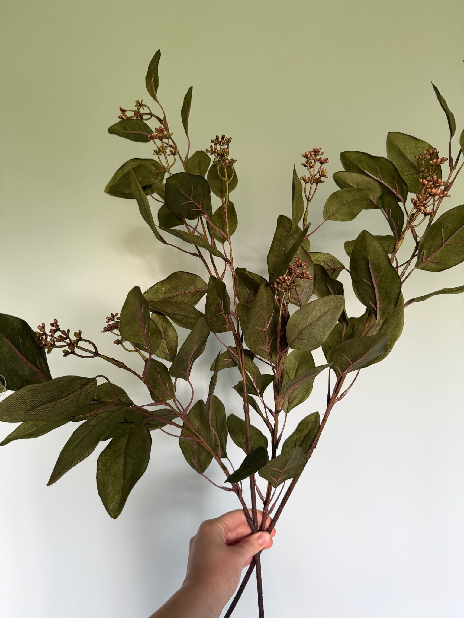 Loving these eucalyptus stems for pre fall and fall! On sale now!!

#LTKSeasonal #LTKHome #LTKSaleAlert
