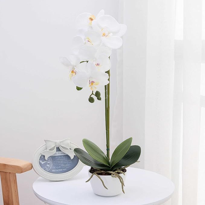 Orchid Silk Phalaenopsis Flower Arrangement Artificial Orchid Flowers with White Vase, Wedding Pa... | Amazon (US)