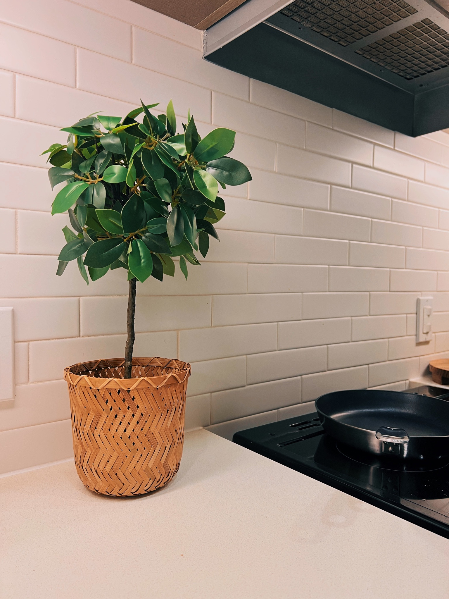 Brought this cutie home from IKEA today :) 


Artificial plants, home decor, kitchen decor, IKEA plants, fake plants 

#LTKFind #LTKunder50 #LTKhome