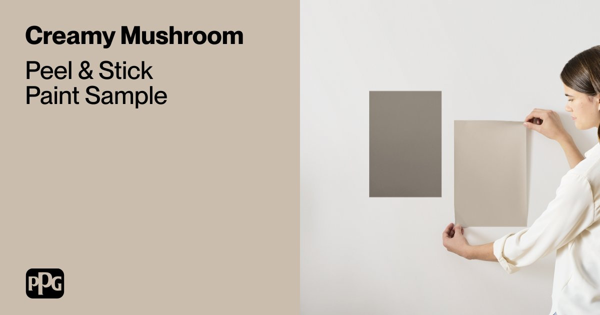 Creamy Mushroom  Paint Sample | Samplize