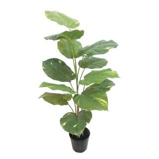 3.5ft. Potted Green Pothos Plant by Ashland® | Michaels Stores