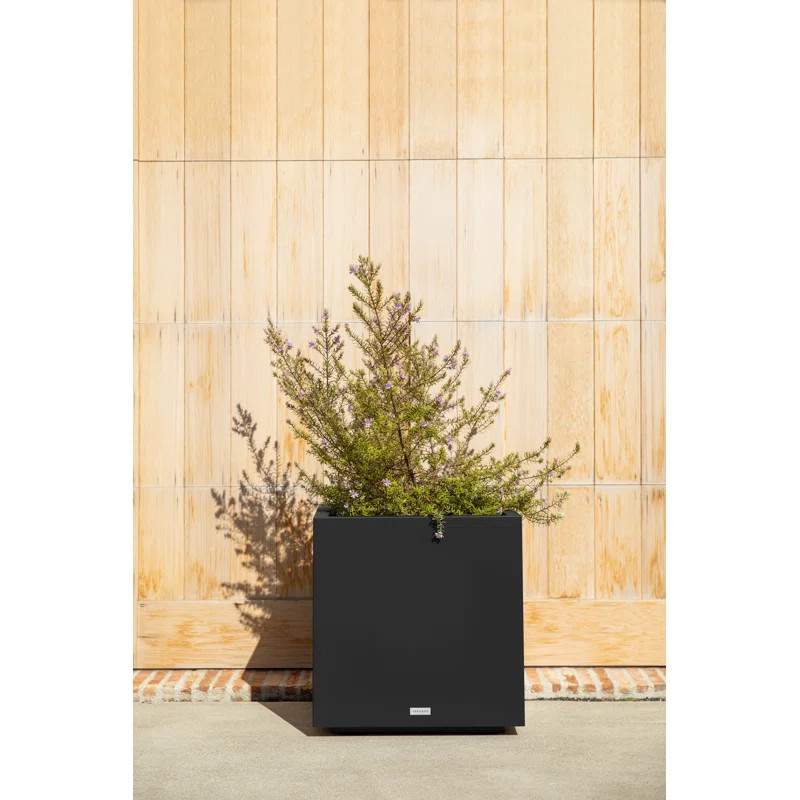 Block Series Cube PlanterByVeradek4.8Rated 4.8 out of 5 stars.964 Reviews | Wayfair North America
