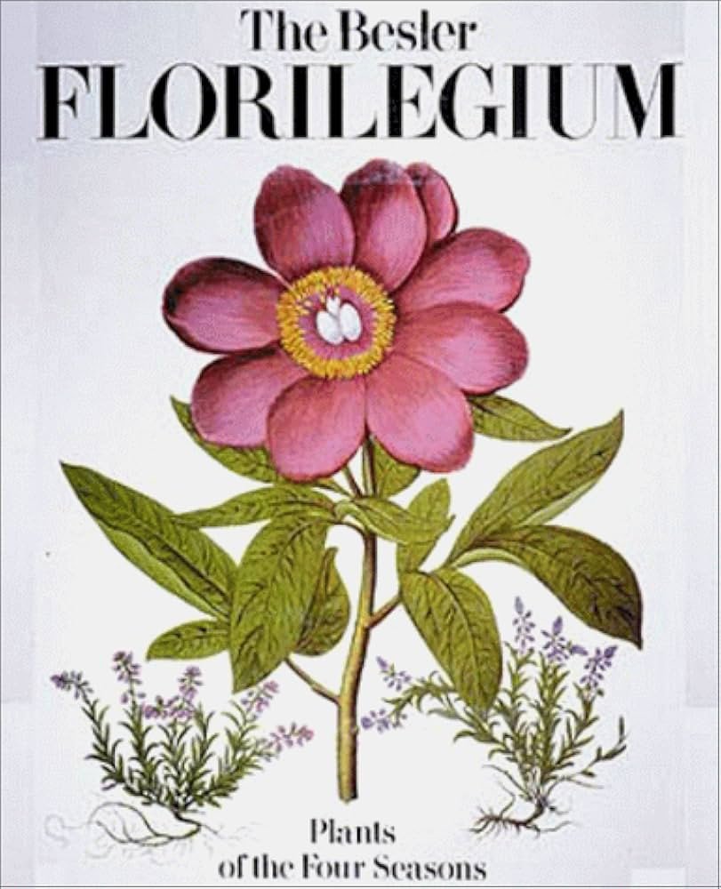 The Besler Florilegium: Plants of the Four Seasons | Amazon (US)