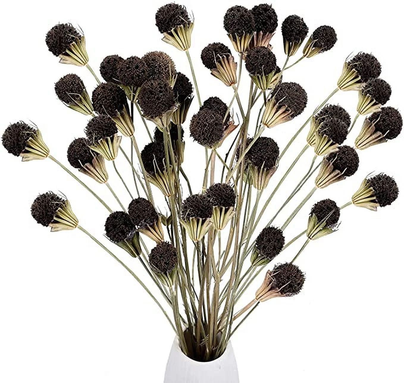 16 Pcs Natural Dried Flowers, Brown Globe Amaranth Natural Dried Flowers for Wedding Table Vase D... | Walmart (US)