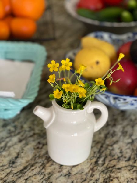 Happy May! Sometimes it’s the small things that bring the most joy. Rounded up a few bud vases! You never know when you will find a little flower to display at home, even weed flowers are pretty! 

#LTKhome #LTKfindsunder50 #LTKstyletip