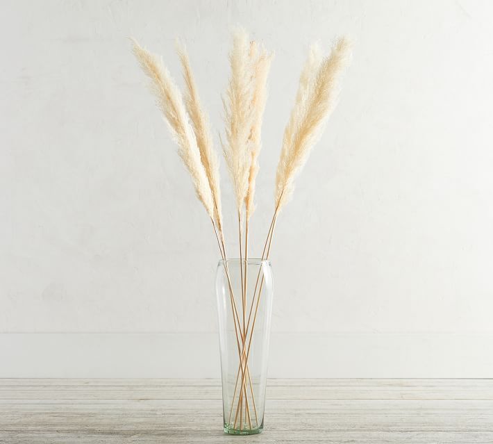 Dried Pampas Grass Branches - Set of 3 | Pottery Barn (US)