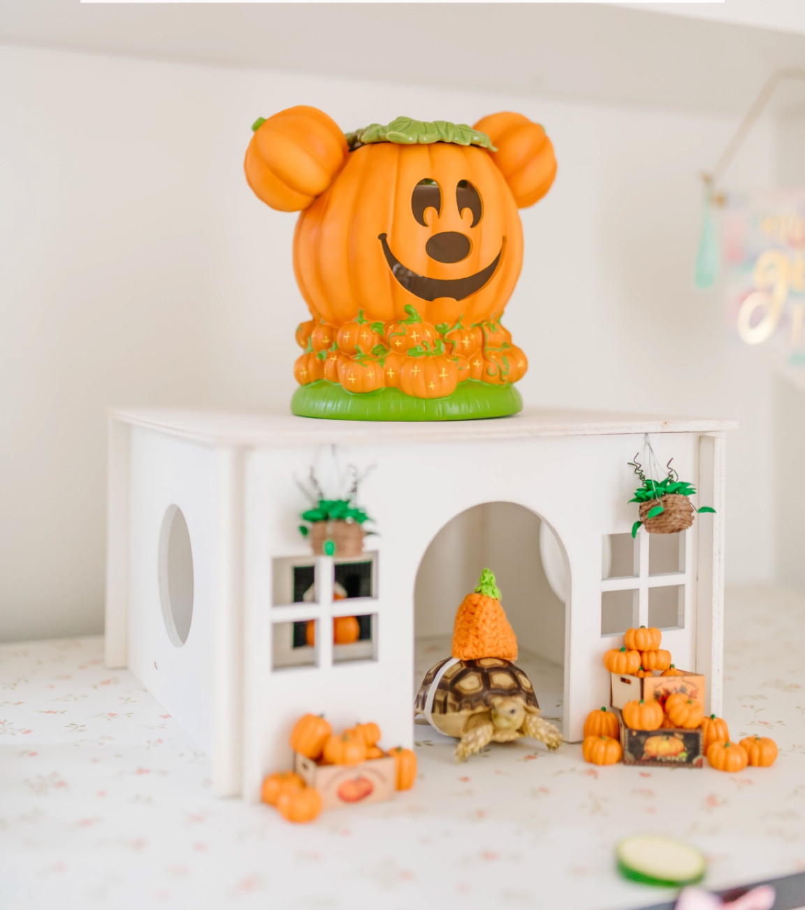 Girls fall fashion favorites! Veggie approved. 🎃

#LTKFamily #LTKBaby #LTKKids