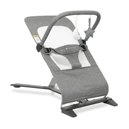 Baby Delight Alpine Deluxe Portable Baby Bouncer, for Infants 0-6 Months, Charcoal Tweed | Walmart (US)