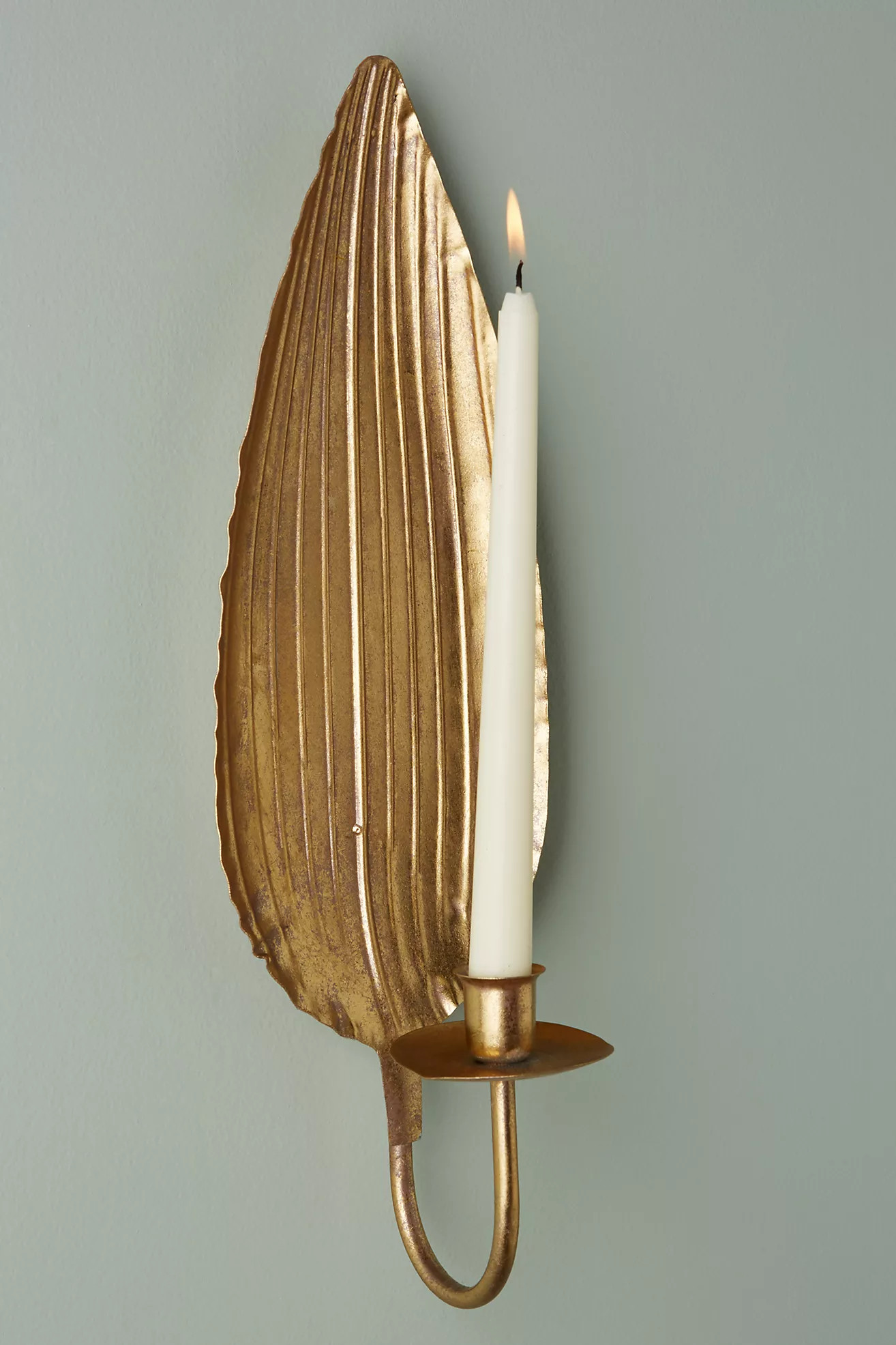 Leaf Sconce | Anthropologie (US)