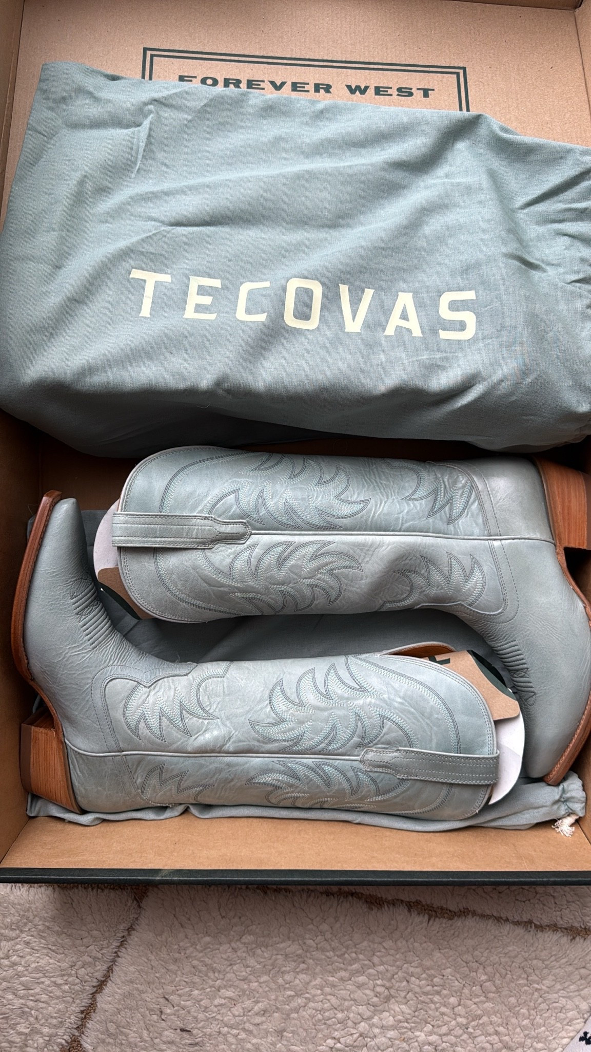 Cinderella blue is the ultimate timeless feminine color. Convince me otherwise 🩵

Cowgirl boots, limited edition boots, tecovas, slate blue

#LTKSeasonal