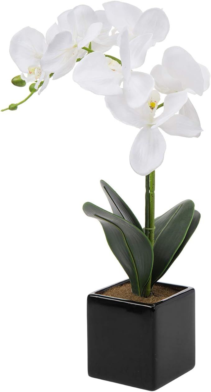 MyGift Artificial White Orchid Flower Potted in Black Ceramic Planter | Amazon (US)